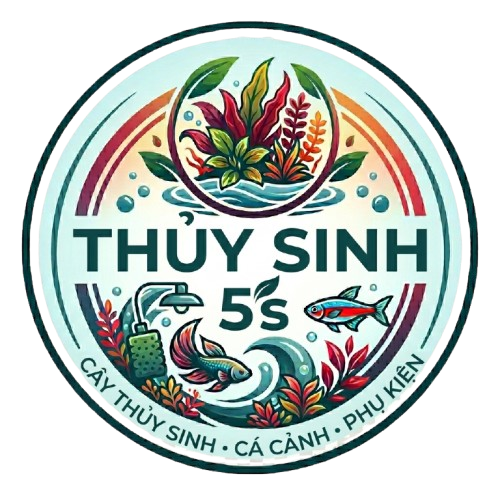 Thuỷ Sinh 5S